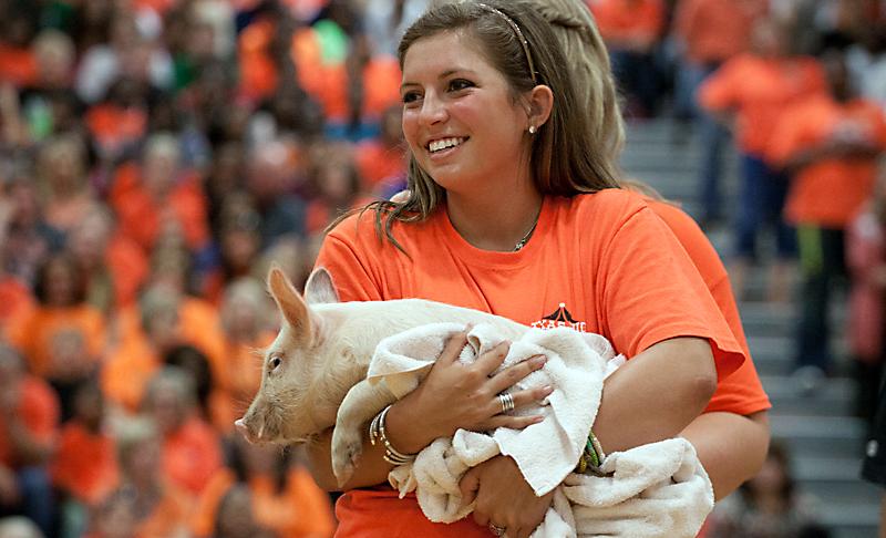 My time with Sheila the pig