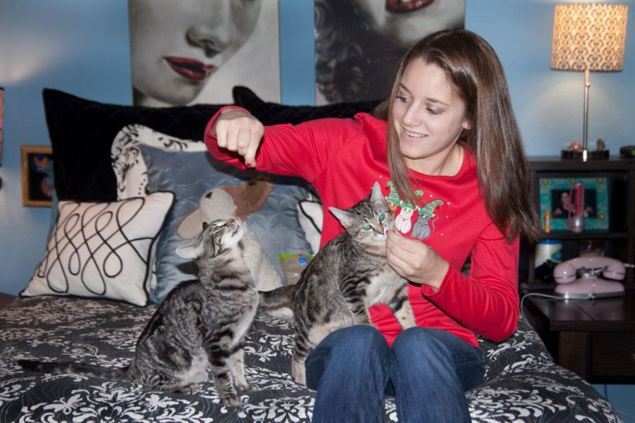 On becoming the crazy cat lady 