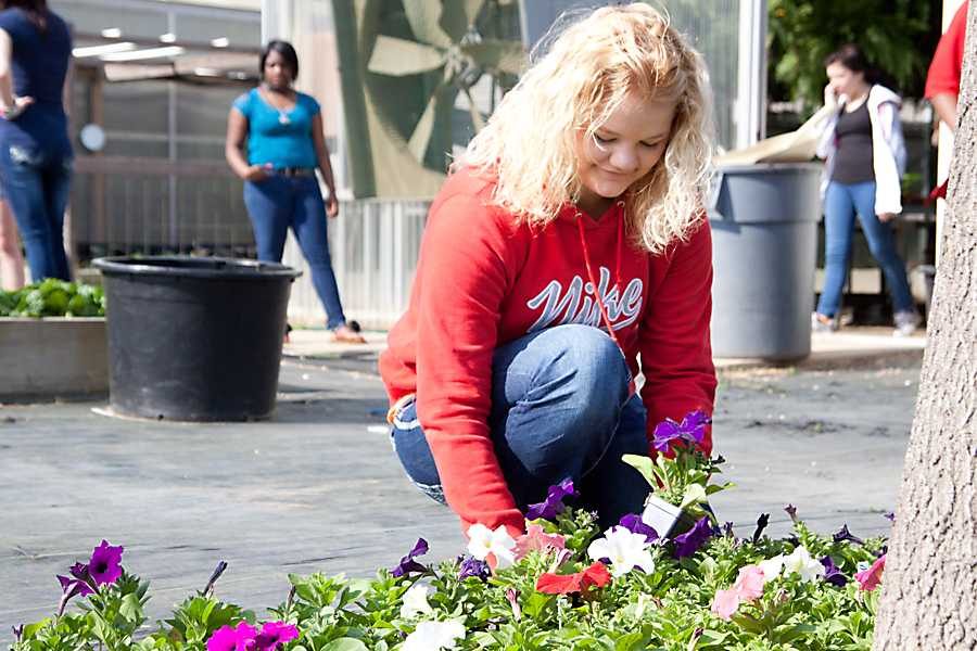 Outside the horticulture building, freshman Brianna Terry helps prepare flowers for their spring sale Saturday from 9 a.m. to 1 p.m.