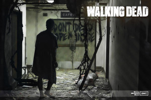 The-Walking-Dead-Wallpaper-the-walking-dead-17116137-1440-900