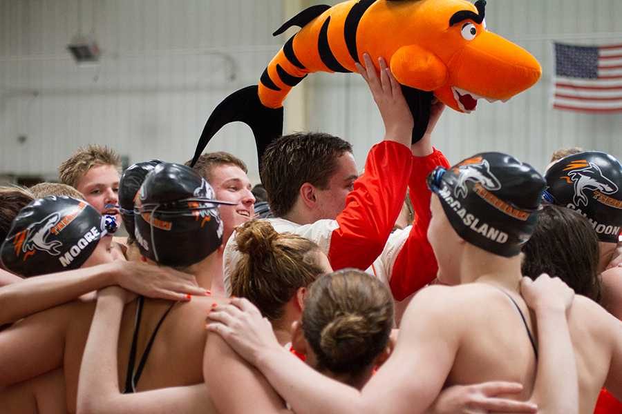 Tigersharks come together during the Orange-White meet.