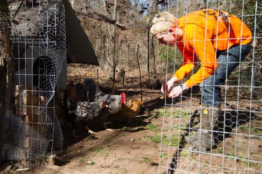 Junior Tyler Snell bends over picking grain to feed to his chickens.