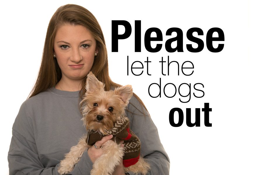 Please+let+the+dogs+out