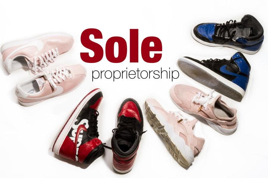 Sole+proprietorship