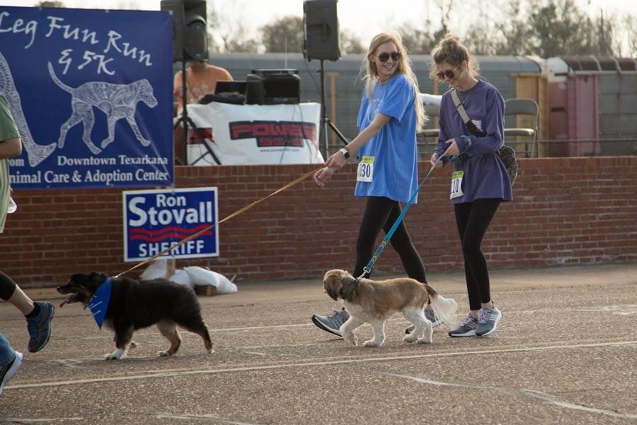 Senior Abby Hill walks with her dog during the Six-Legged Fun Run and 5k held in downtown Texarkana