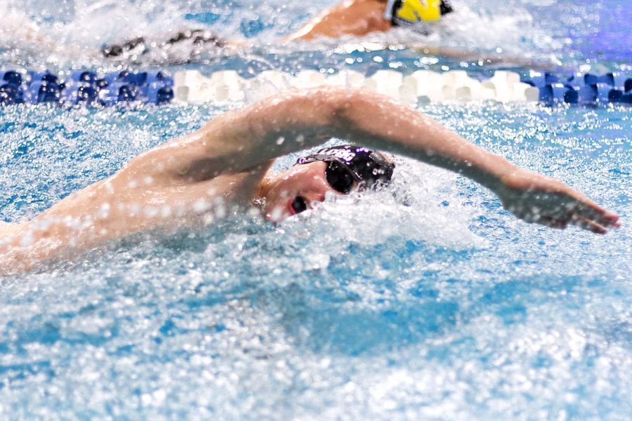 Junior Jackson Shellogg swims in an individual freestyle event at the 2018 State Swim Meet. Shellogg was the only Tigershark to advance to the finals in an individual event.