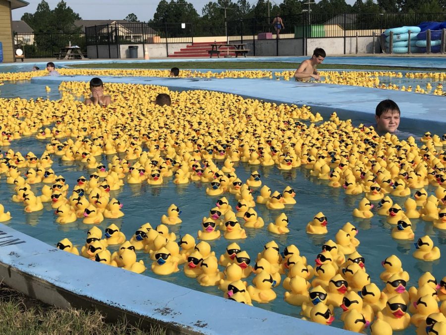 The+Annual+Duck+race+was+held+on+August+18+at+Holiday+Springs+Waterpark.+The+race+raised+over+%2450%2C000+for+the+Christus+St.+Michael%E2%80%99s+hospital.