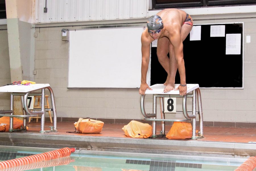 Sophomore Logan Diggs prepares to dive into the pool. Diggs uses swim to find his own identity apart from siblings.