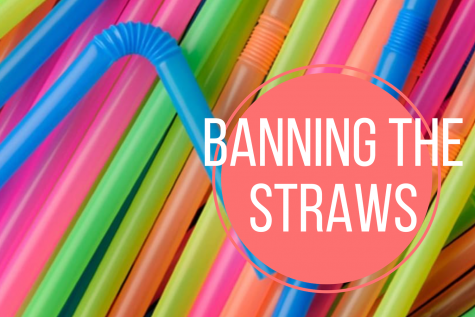 Ban on straws will be positive step in creating clean environment
