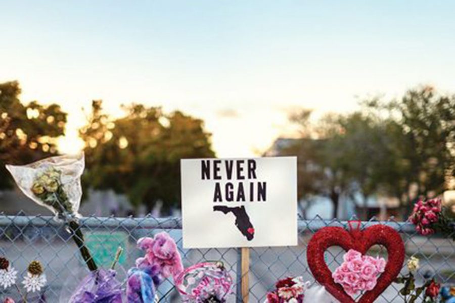 One year ago a fatal school shooting took place in Parkland, Florida and shocked the nation. The anniversary of this event reminds the country that gun control is still a topic that should be closely examined.