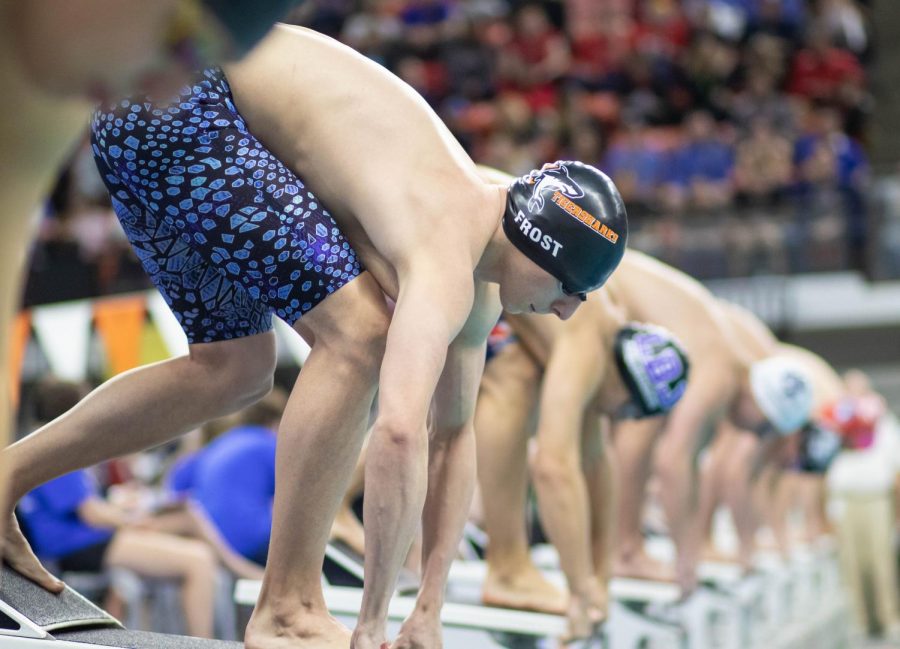 Senior+Robert+Frost+positions+himself+for+his+swim+race.+The+Tigersharks+competed+in+the+state+meet+in+Austin.+Texas.+