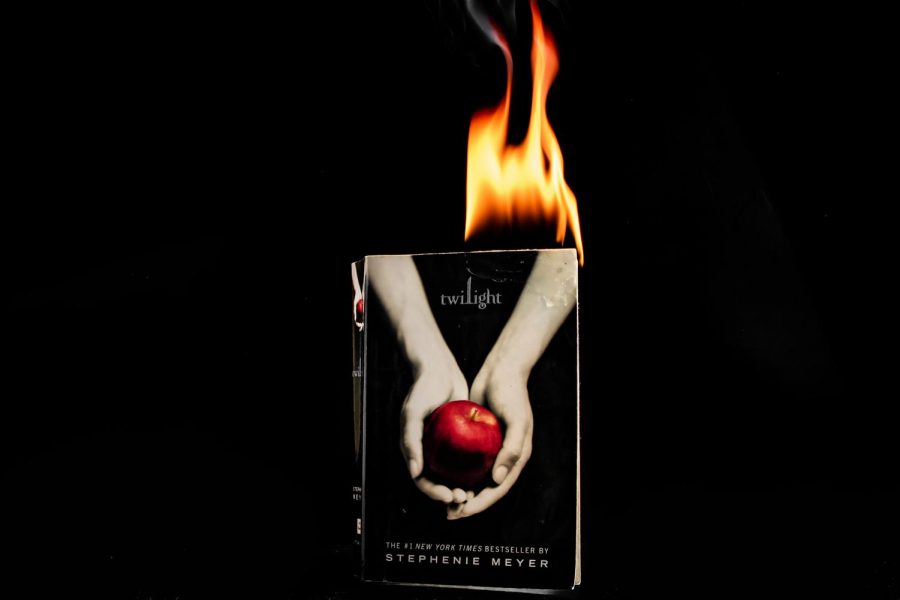 With the release of the fifth book of the Twilight series, 