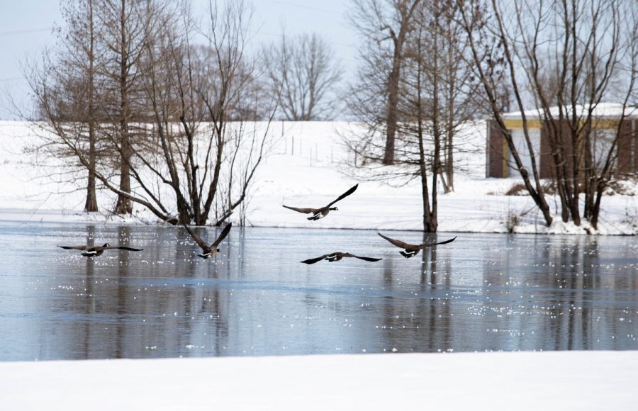 On Feb. 15, residents of Texarkana looked out their windows to see endless amounts of snow. School has already been canceled on Feb. 17 due to predicted snow fall. 