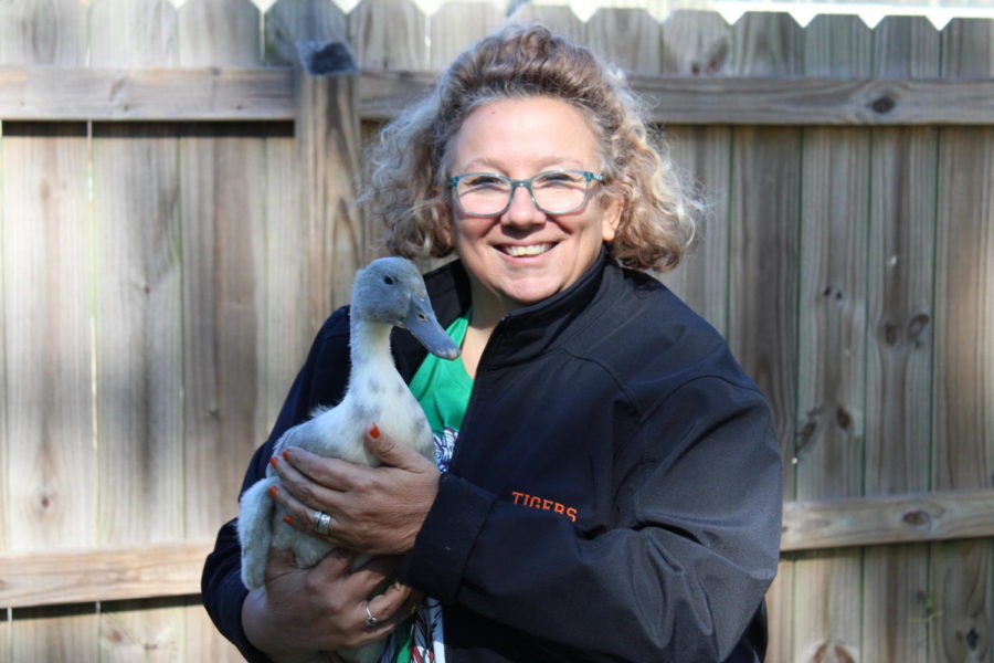 Agriculture instructor Kim Spaulding proudly holds a duck. She has given students the opportunity to interact with many animals in her 25 years of teaching.