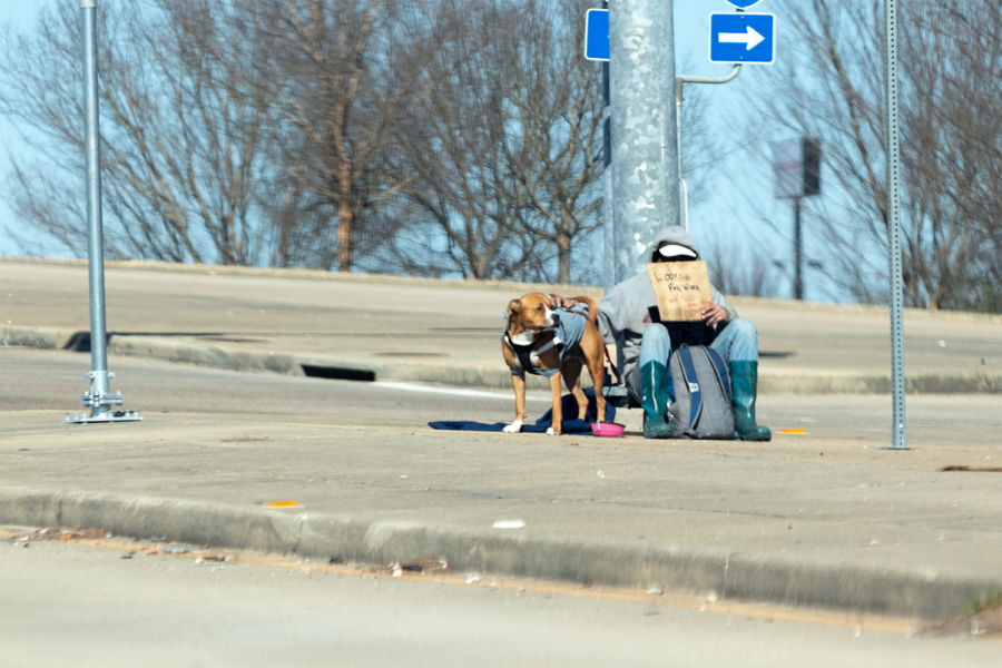 A panhandler sits at an intersection with a sign seeking work. 