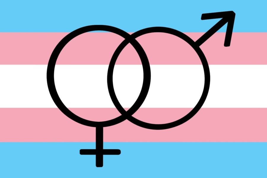 A transgender pride flag lays behind the male and female symbols. More and more students nowadays are questioning their gender identity and which pronouns suit them best.