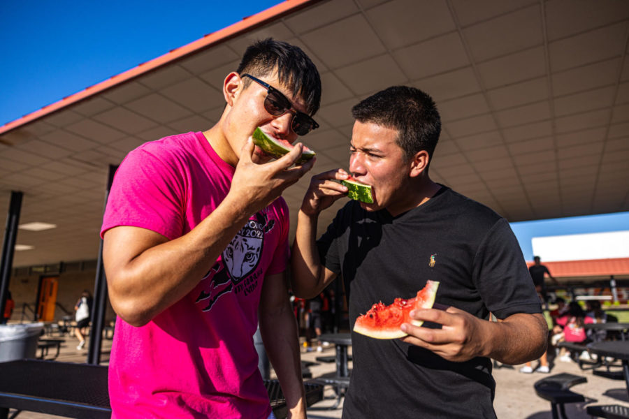 Seniors Alejandro Cardenas and  Roberto Rosales bite into their watermelons. The athletics booster club hosts the Watermelon Supper every year at the Tiger Center.