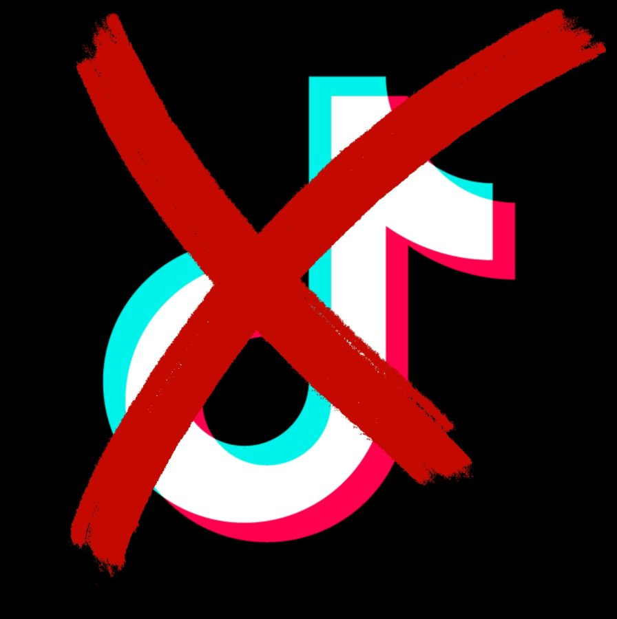 TikTok+will+no+longer+be+allowed+on+government+issued+devices+in+Texas.+Concerns+have+been+expressed+over+the+app+stealing+information.+